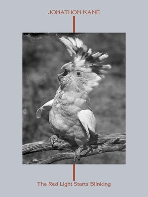 cover image of The Red Light Starts Blinking